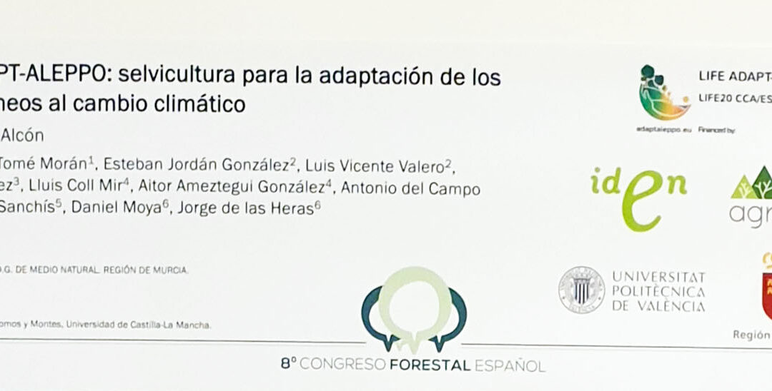 El proyecto LIFE ADAPT-ALEPPO participa en el 8º Congreso Forestal Español (2022, Lleida)